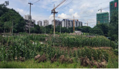 關于三鋼B區2#地塊閑置土地租賃網上公開競租公告1307.png
